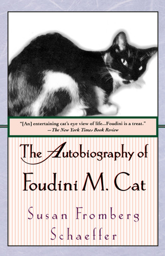 The Autobiography of Foudini M. Cat: A Novel book cover by Susan Fromberg Schaeffer