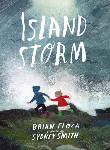 Island Storm book cover by Brian Floca