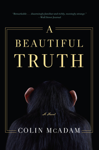 A Beautiful Truth book cover by Colin McAdam