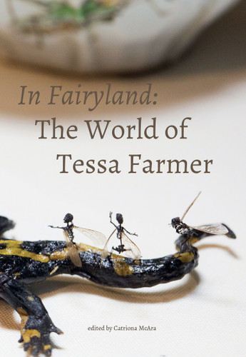 In Fairyland: The World of Tessa Farmer book cover by 