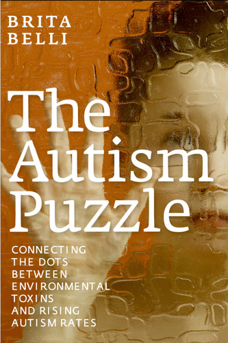 The Autism Puzzle: Connecting the Dots Between Environmental Toxins and Rising Autism Rates book cover by Brita Belli