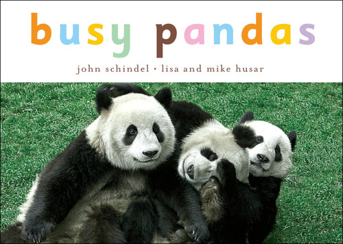 Busy Pandas (A Busy Book) book cover by John Schindel