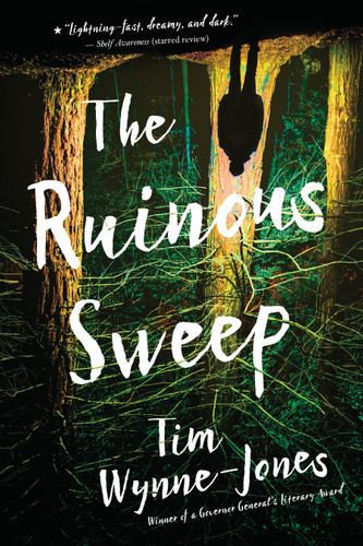 The Ruinous Sweep book cover by Tim Wynne-Jones