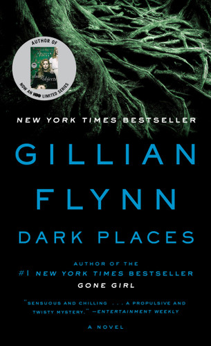 Dark Places: A Novel book cover by Gillian Flynn