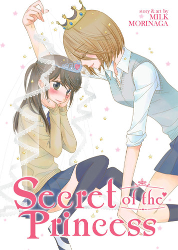 Secret of the Princess book cover by Milk Morinaga