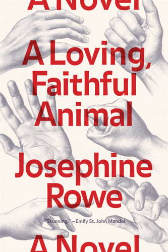 A Loving, Faithful Animal: A Novel book cover by Josephine Rowe