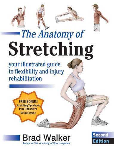 The Anatomy of Stretching, Second Edition: Your Illustrated Guide to Flexibility and Injury Rehabilitation book cover by Brad Walker