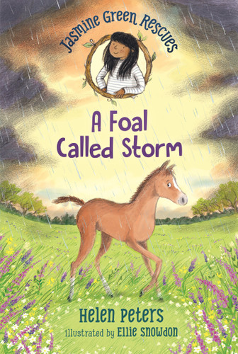Jasmine Green Rescues: A Foal Called Storm (Jasmine Green) book cover by Helen Peters