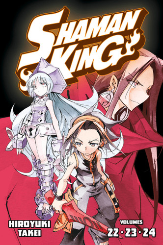 SHAMAN KING Omnibus 8 (Vol. 22-24) (Shaman King Omnibus) book cover by Hiroyuki Takei