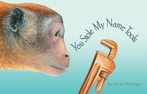 You Stole My Name: Tools: A Rhyming Book of Tools & Animals That Sound Alike (You Stole My Name Series) book cover by Dennis McGregor