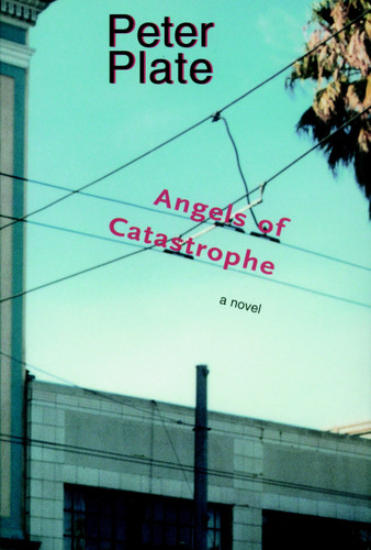 Angels of Catastrophe: A Novel book cover by Peter Plate