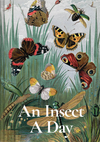 An Insect a Day book cover by Dominic Couzens, Gail Ashton