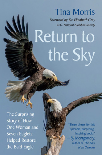 Return to the Sky: The Surprising Story of How One Woman and Seven Eaglets Helped Restore the Bald Eagle book cover by Tina Morris
