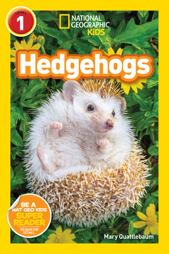 Hedgehogs (National Geographic Kids Readers, Level 1) (National Geographic Kids Readers) book cover by Mary Quattlebaum, National Geographic Kids