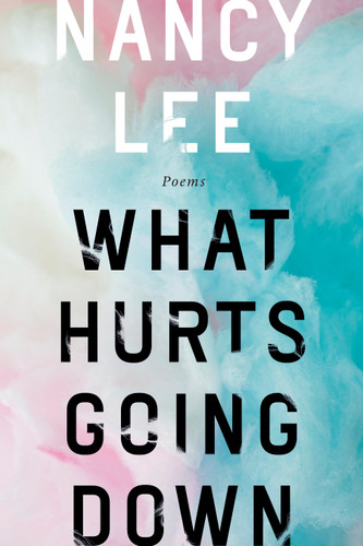 What Hurts Going Down: Poems book cover by Nancy Lee
