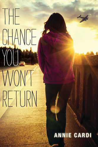 The Chance You Won't Return book cover by Annie Cardi
