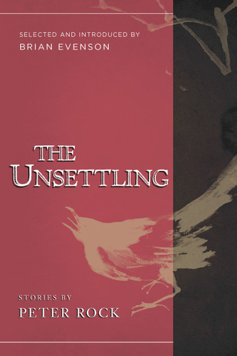 The Unsettling: Stories book cover by Peter Rock