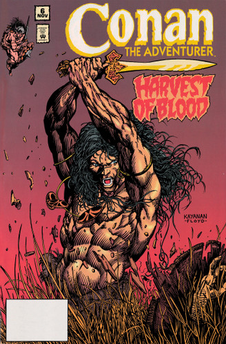 Conan the Adventurer: The Original Comics Years Omnibus Vol. 1 (CONAN THE BARBARIAN OMNIBUS) book cover by Roy Thomas