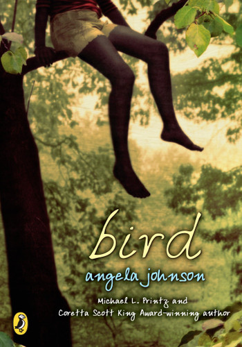 Bird book cover by Angela Johnson