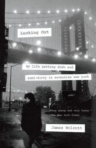 Lucking Out: My Life Getting Down and Semi-Dirty in the Seventies book cover by James Wolcott