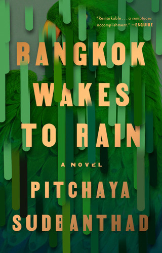 Bangkok Wakes to Rain: A Novel book cover by Pitchaya Sudbanthad