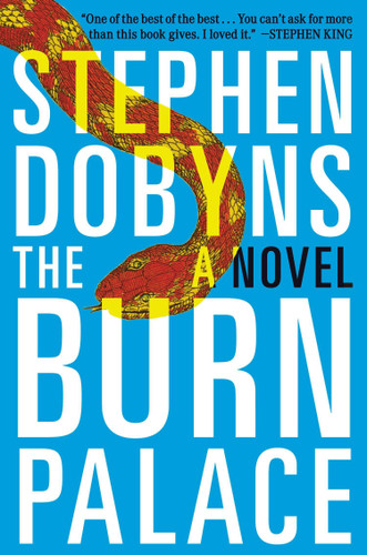 The Burn Palace: A Novel book cover by Stephen Dobyns
