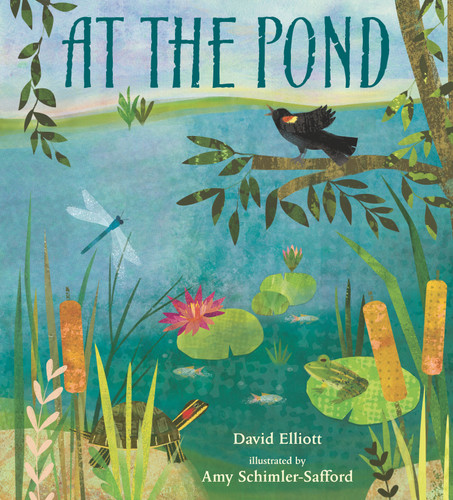 At the Pond (Paws, Fins, Feathers, Claws) book cover by David Elliott