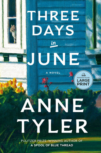 Three Days in June: A Novel book cover by Anne Tyler
