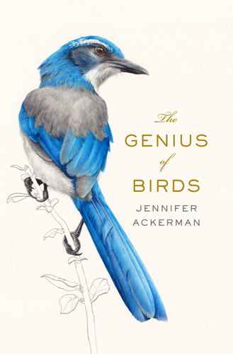 The Genius of Birds book cover by Jennifer Ackerman