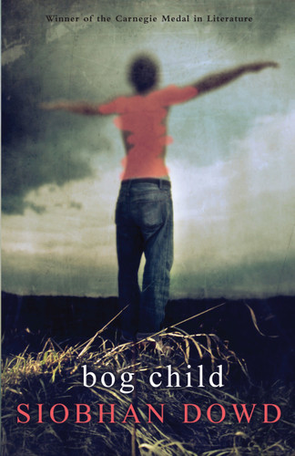 Bog Child book cover by Siobhan Dowd