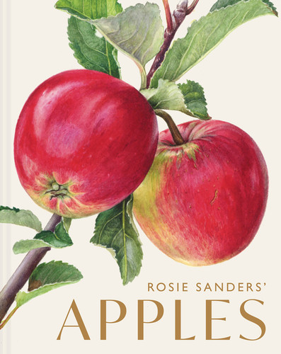 Rosie Sanders' Apples book cover by Rosie Sanders