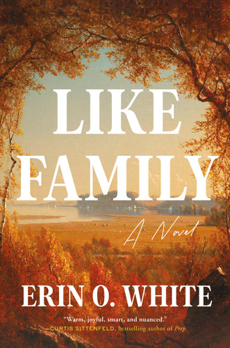 Like Family: A Novel book cover by Erin O. White