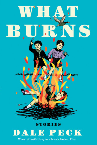 What Burns book cover by Dale Peck