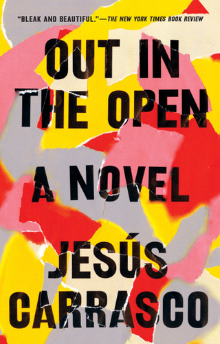 Out in the Open: A Novel book cover by Jesús Carrasco