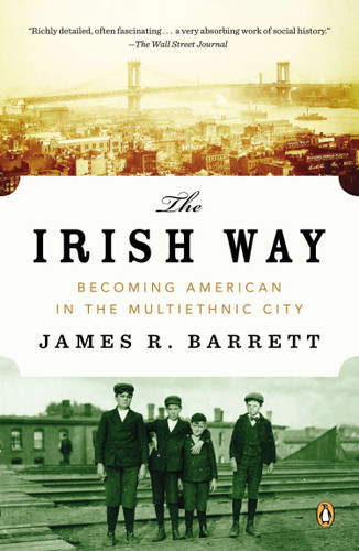 The Irish Way: Becoming American in the Multiethnic City book cover by James R. Barrett