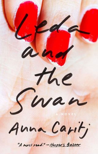 Leda and the Swan: A Novel book cover by Anna Caritj