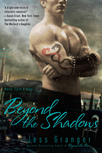 Beyond the Shadows (A Realms Beyond Novel) book cover by Jess Granger