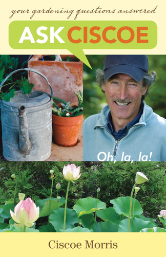 Ask Ciscoe: Oh, la, la! Your Gardening Questions Answered book cover by Ciscoe Morris