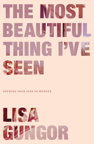 The Most Beautiful Thing I've Seen: Opening Your Eyes to Wonder book cover by Lisa Gungor