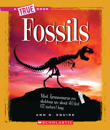 Fossils (A True Book: Earth Science) (A True Book) book cover by Ann O. Squire