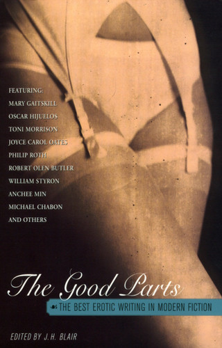 The Good Parts: The Best Erotic Writing in Modern Fiction book cover by 