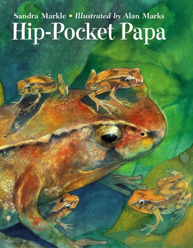 Hip-Pocket Papa book cover by Sandra Markle