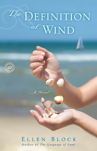 The Definition of Wind: A Novel book cover by Ellen Block