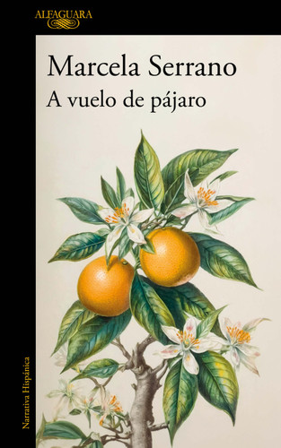 A vuelo de pájaro. Cuadernos / A Birds-Eye View book cover by Marcela Serrano