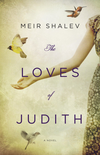 The Loves of Judith: A Novel book cover by Meir Shalev