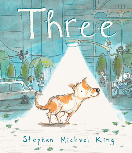Three book cover by Stephen Michael King