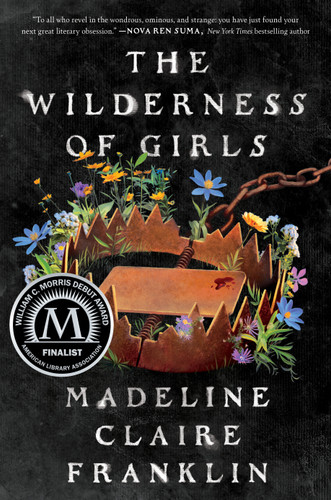 The Wilderness of Girls book cover by Madeline Claire Franklin
