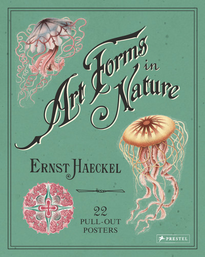 Art Forms in Nature: 22 Pull-Out Posters book cover by Ernst Haeckel