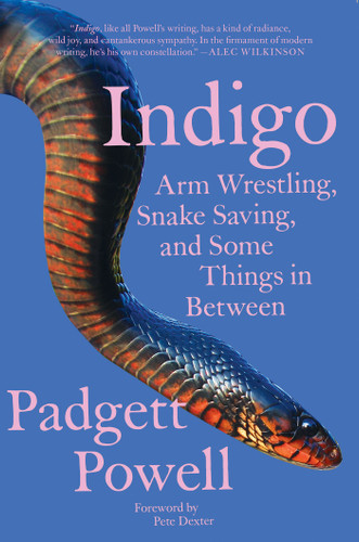Indigo: Arm Wrestling, Snake Saving, and Some Things In Between book cover by Padgett Powell