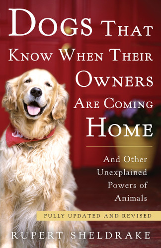 Dogs That Know When Their Owners Are Coming Home: Fully Updated and Revised book cover by Rupert Sheldrake